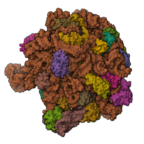 8RPY assembly