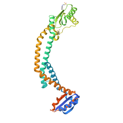 pbp3 meiothermus ruber