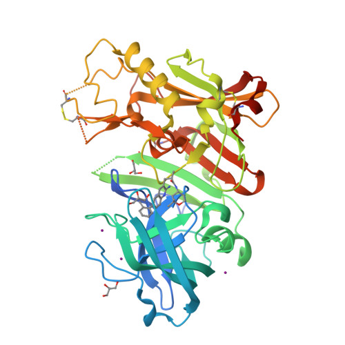Rcsb Pdb 3rsv Structure Of Bace 1 Beta Secretase In Complex With R 3 2 Amino 6 O Tolylquinolin 3 Yl N R 2 2 Dimethyltetrahydro 2h Pyran 4 Yl 2 Methylpropanamide