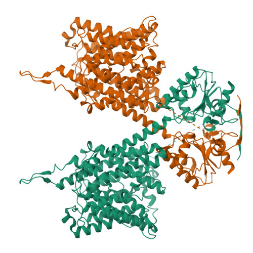 Rcsb Pdb 6rtf Structure Of Murine Solute Carrier 26 Family Member A9 Slc26a9 Anion Transporter In An Intermediate State