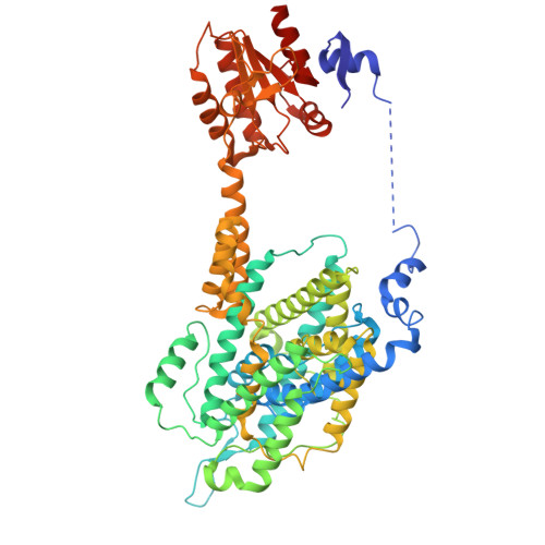 Rcsb Pdb 6rtf Structure Of Murine Solute Carrier 26 Family Member A9 Slc26a9 Anion Transporter In An Intermediate State