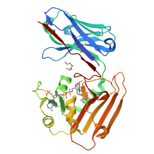 Rcsb Pdb 6rul Crystal Structure Of Gfp Lama F98 A Gfp Enhancer Nanobody With Cpdhfr Insertion And Tmp And Nadph