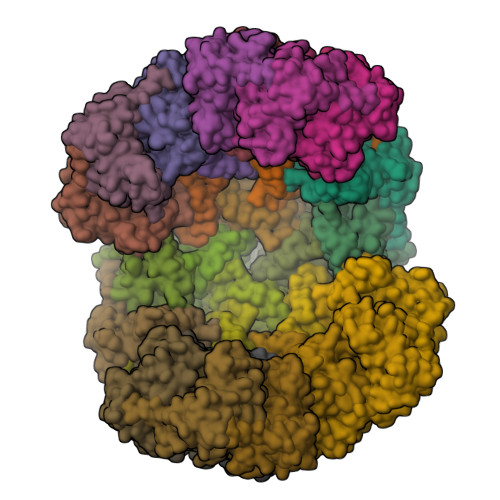 Rcsb Pdb 1rvv Synthase Riboflavin Synthase Complex Of Bacillus Subtilis