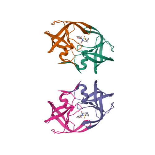 4RVJ logo