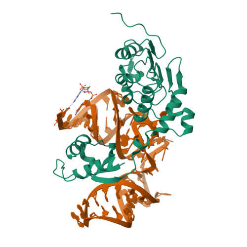3RW6 assembly