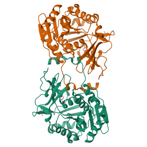 Protein Data Bank: 3RY7