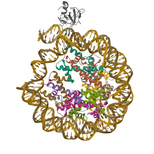 Rcsb Pdb 6s01 Structure Of Ledgf Pwwp Domain Bound H3k36 Methylated Nucleosome