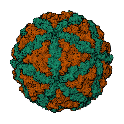 Rcsb Pdb 6s2c Acquired Functional Capsid Structures In Metazoan Totivirus Like Dsrna Virus