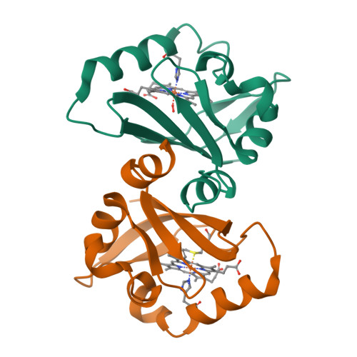 Rcsb Pdb 1s66 Crystal Structure Of Heme Domain Of Direct Oxygen Sensor From E Coli