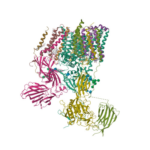 Rcsb Pdb 6s7t Cryo Em Structure Of Human Oligosaccharyltransferase Complex Ost B