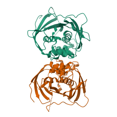 Rcsb Pdb 1s9c Crystal Structure Analysis Of The 2 Enoyl Coa Hydratase 2 Domain Of Human 7530