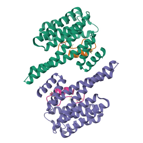 Rcsb Pdb 6s9k Structure Of 14 3 3 Gamma In Complex With Caspase 2 Peptide Containing 14 3 3 Binding Motif Ser139 And Nls