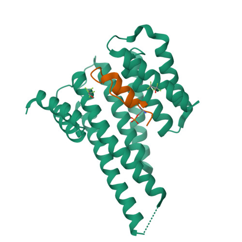 Rcsb Pdb 6s9k Structure Of 14 3 3 Gamma In Complex With Caspase 2 Peptide Containing 14 3 3 Binding Motif Ser139 And Nls