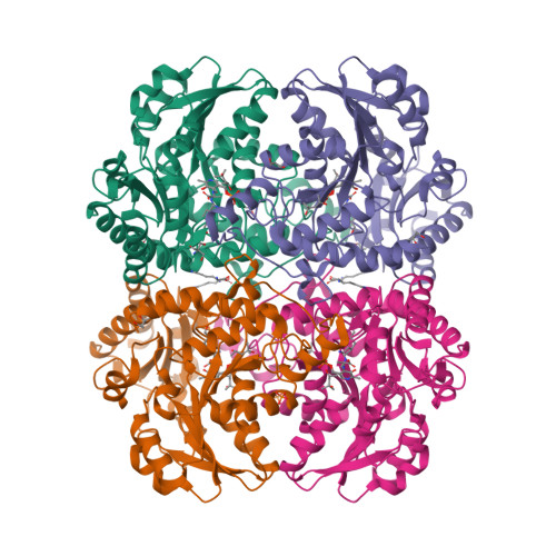 image of structure for 8SAB