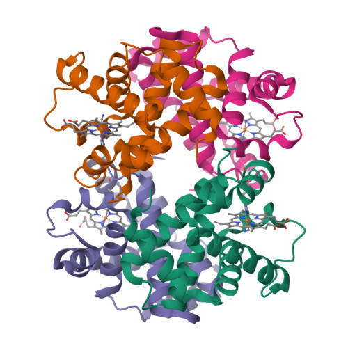 Hemoglobin A2