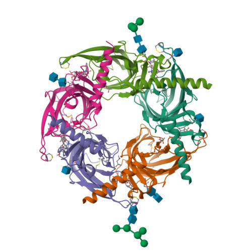 Rcsb Pdb 3sio Ac Achbp Ligand Binding Domain Not Including Beta 9 10 Linker Mutated To Human Alpha 7 Nachr