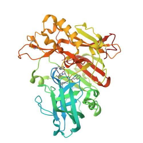 Rcsb Pdb 3skg Crystal Structure Of Beta Site App Cleaving Enzyme 1 Bace Wt Complex With 2s 2 3r 3 Acetamido 3 Isobutyl 2 Oxo 1 Pyrrolidinyl N 1s 2r 1 3 5 Difluorobenzyl 2 Hydroxy 2 1 2 3 4 Tetrahydro 3 Isoquinolinyl Ethyl 4