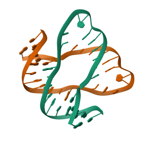 1SLS logo