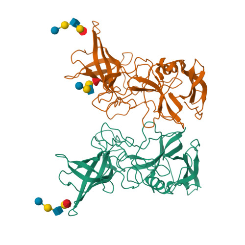 Rcsb Pdb 3sln Structural Characterization Of A Gii 4 04 Norovirus Variant Tch05 Bound To H Pentasaccharide