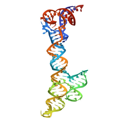 8SP9 assembly