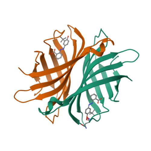 1SRF logo