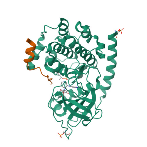 Download Rcsb Pdb 1svg Crystal Structure Of Protein Kinase A In Complex With Azepane Derivative 4