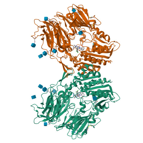 Rcsb Pdb 3sx4 Crystal Structure Of Human Dpp Iv In Complex With Sa 3 Aminomethyl 4 2 4 Dichlorophenyl 6 2 Methoxyphenyl 2 Methyl 5h Pyrrolo 3 4 B Pyridin 7 6h One