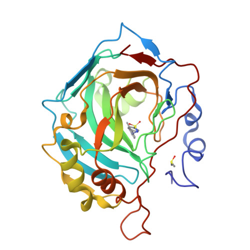 Rcsb Pdb 5sz5 Carbonic Anhydrase Ix Mimic In Complex With 4 2 Methylphenyl Benzenesulfonamide