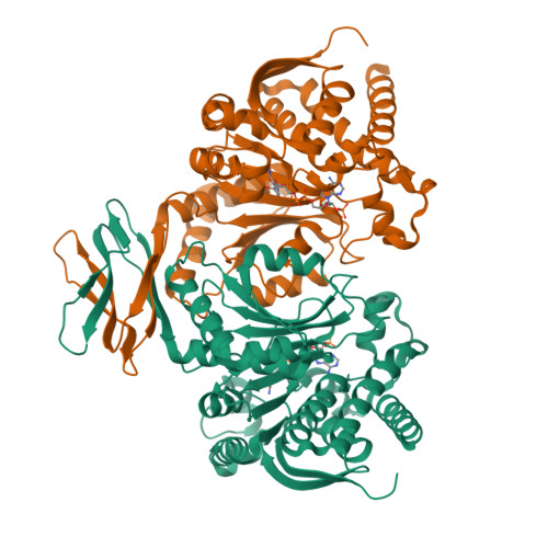 Rcsb Pdb 1t09 Crystal Structure Of Human Cytosolic Nadp Dependent