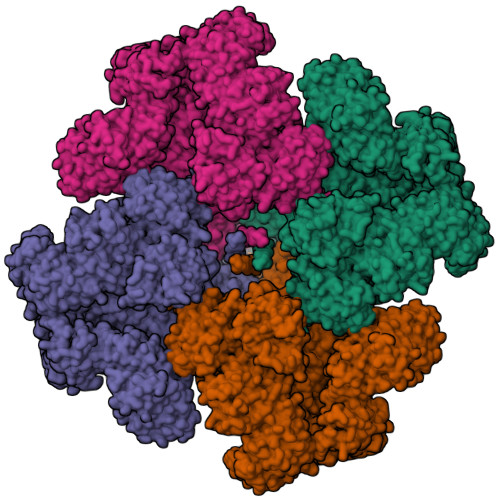 RCSB PDB: Homepage