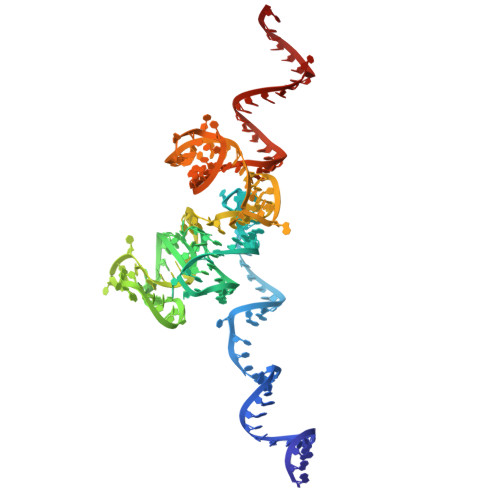 RCSB PDB - 5T6R: Nmd3 is a structural mimic of eIF5A, and activates the ...