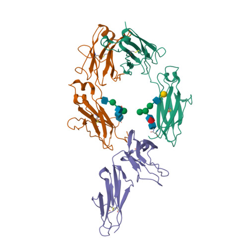 Rcsb Pdb 1t89 Crystal Structure Of A Human Type Iii Fc Gamma Receptor In Complex With An Fc Fragment Of Igg1 Hexagonal