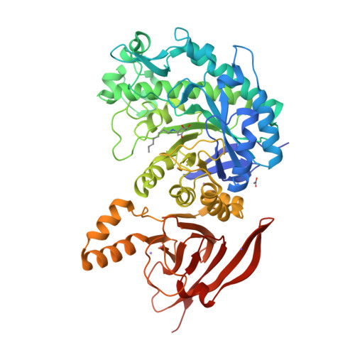 Rcsb Pdb 6tbi Structure Of A Beta Galactosidase With Inhibitor