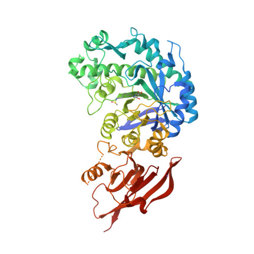 Rcsb Pdb 6tbk Structure Of A Beta Galactosidase With Inhibitor