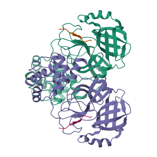 RCSB PDB: Homepage