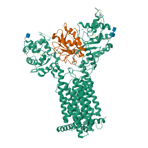 Rcsb Pdb 6td6 Structure Of Drosophila Melanogaster Dispatched Bound To A Modified Hedgehog Ligand Hhn C85ii