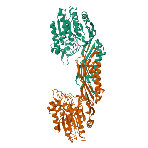 image of structure for 5THW