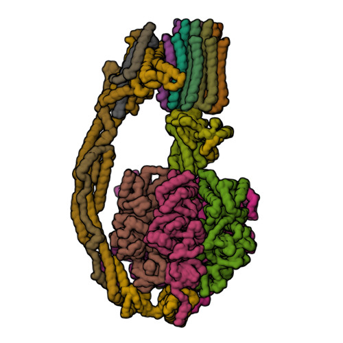 ATP5 image