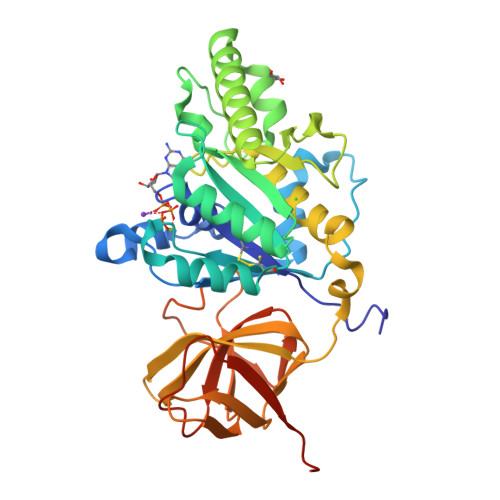 Rcsb Pdb 4tmz Translation Initiation Factor Eif5b 517 858 From C Thermophilum Bound To Gtpgammas And Potassium