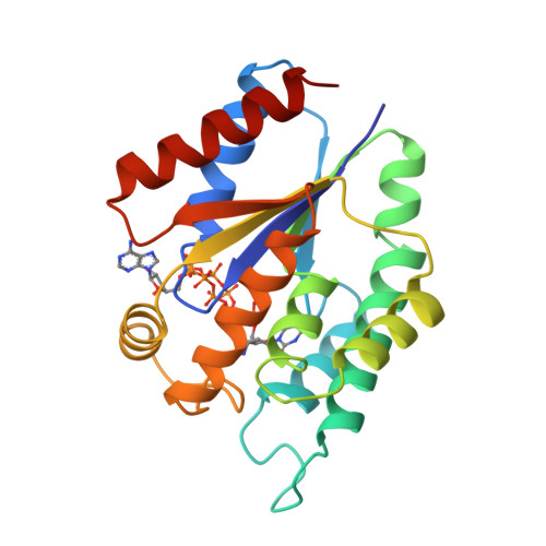 Rcsb Pdb 5tmp Complex Of E Coli Thymidylate Kinase With The Bisubstrate Inhibitor Aztp5a