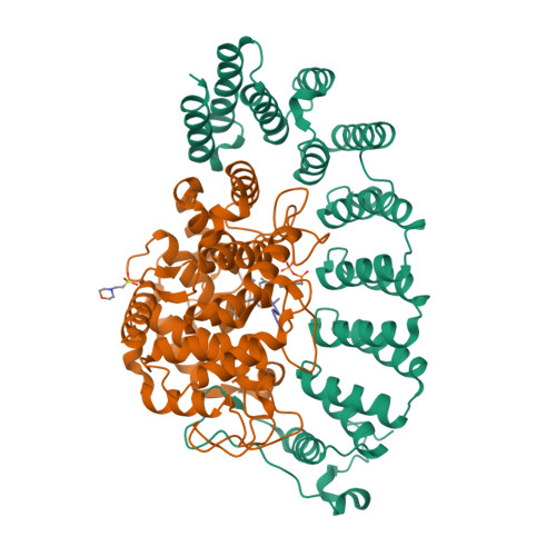 Rcsb Pdb 1tno Rat Protein Geranylgeranyltransferase Type I Complexed With A Ggpp Analog And A Kkksktkcvim Peptide Derived From K Ras4b