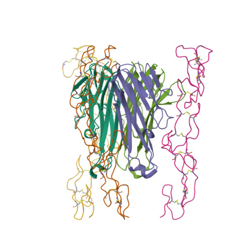Rcsb Pdb 1tnr Crystal Structure Of The Soluble Human 55 Kd Tnf Receptor Human Tnf Beta Complex Implications For Tnf Receptor Activation