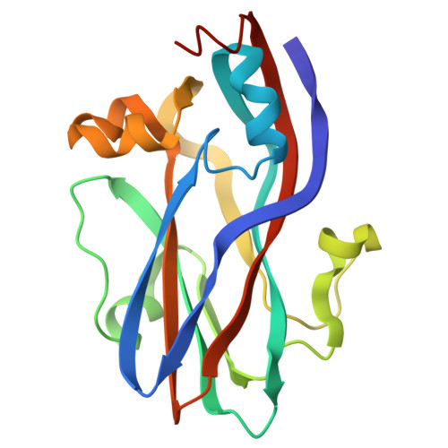 RCSB PDB - 1TNV: CRYSTAL STRUCTURAL ANALYSIS OF TOBACCO NECROSIS VIRUS ...