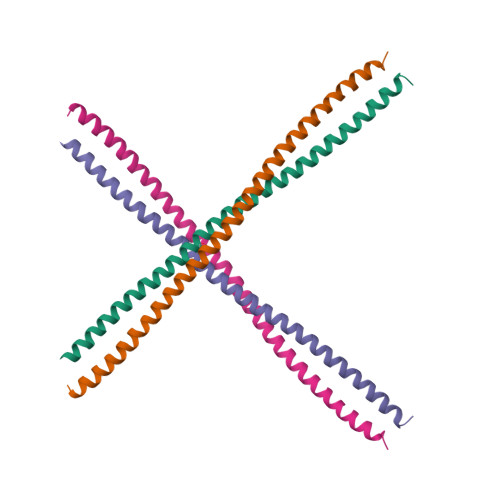 Keratin protein structure