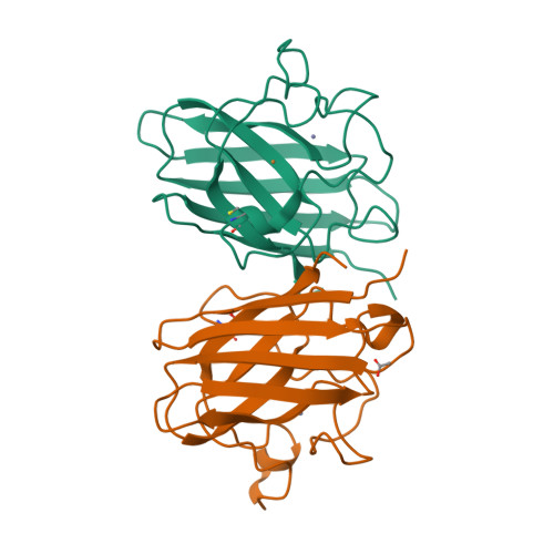 Rcsb Pdb 1to5 Structure Of The Cytosolic Cu Zn Sod From S Mansoni