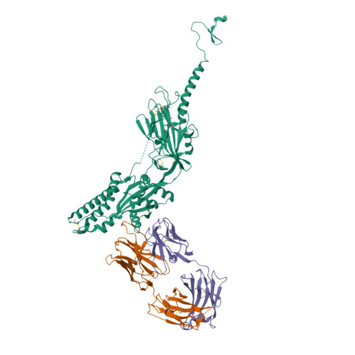 Rcsb Pdb 5tpn Crystal Structure Of Rsv F In Complex With Human Antibody Hrsv90