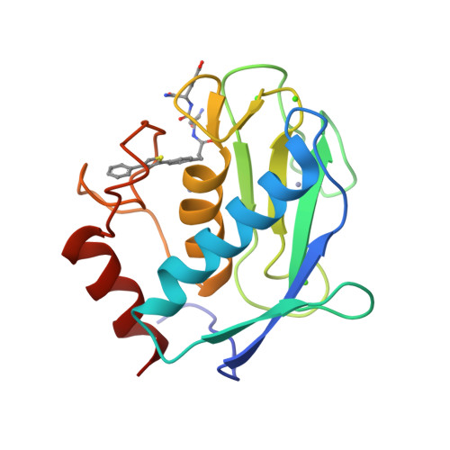 Rcsb Pdb 3tsk Human Mmp12 In Complex With L Glutamate Motif Inhibitor