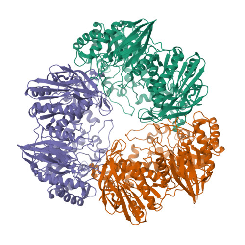Rcsb Pdb 3tts Crystal Structure Of Beta Galactosidase From Bacillus Circulans Sp Alkalophilus