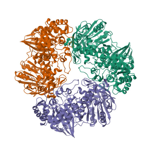 Rcsb Pdb 3tts Crystal Structure Of Beta Galactosidase From Bacillus Circulans Sp Alkalophilus