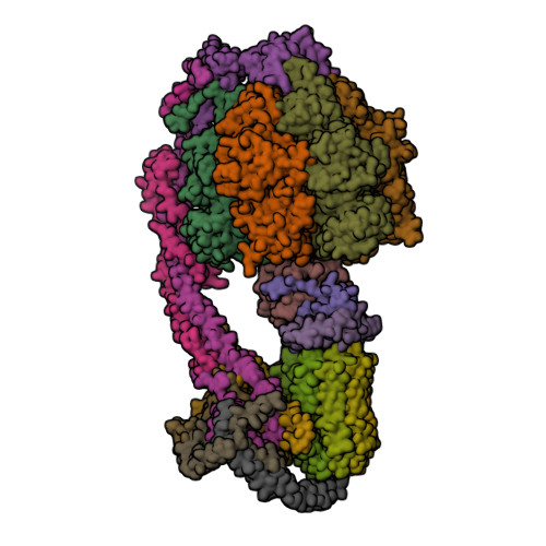 ATP5F1C image